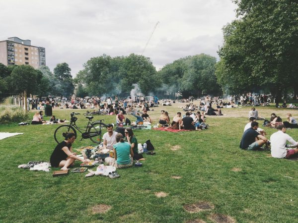 A public park with many groups of people sitting on picnic blankets.