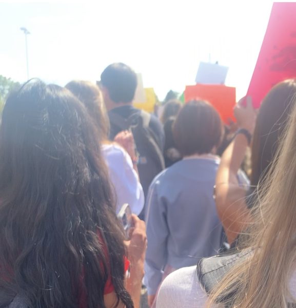 Students Walkout in Protest of Gun Violence